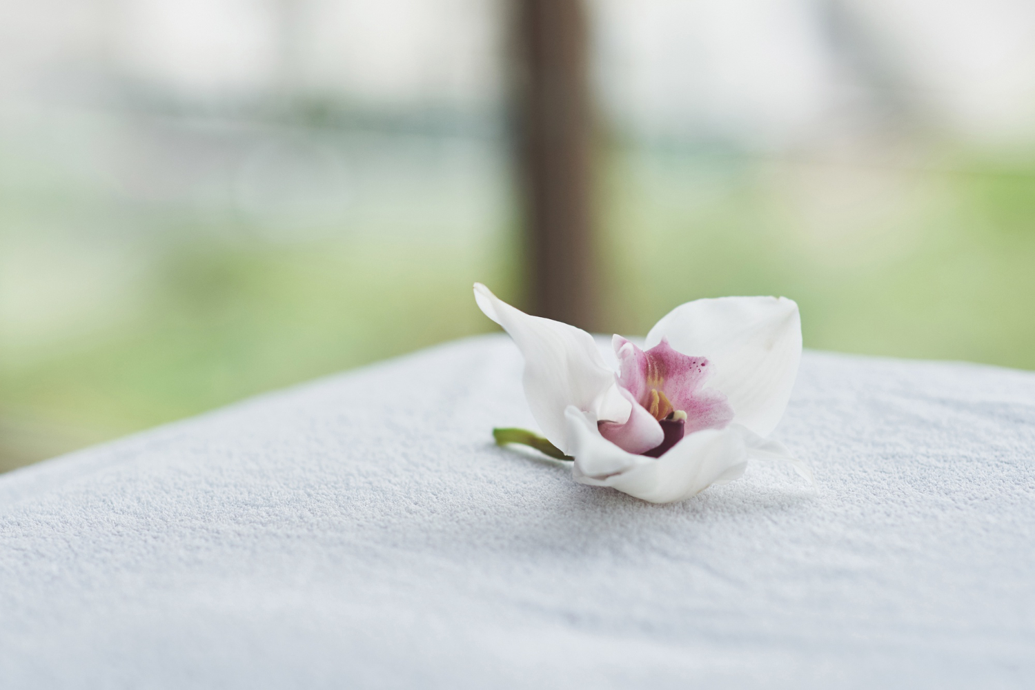 Recovery at Home: When Staying Put Helps the Body Reset Faster